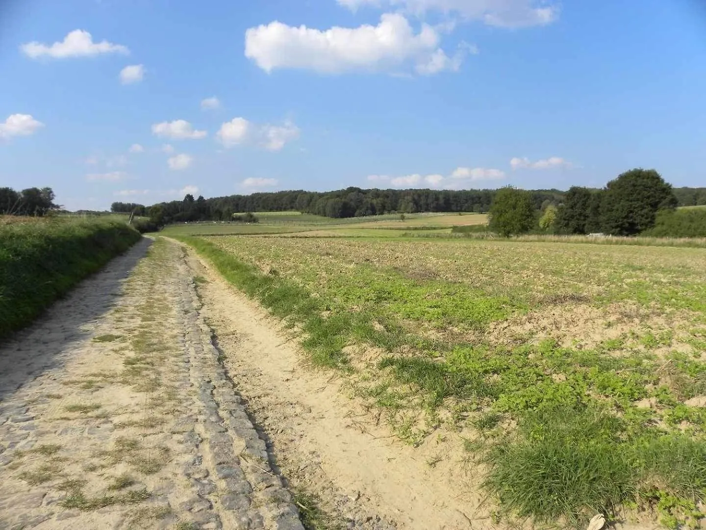Meerbeek Unwind Kortenberg Вилла